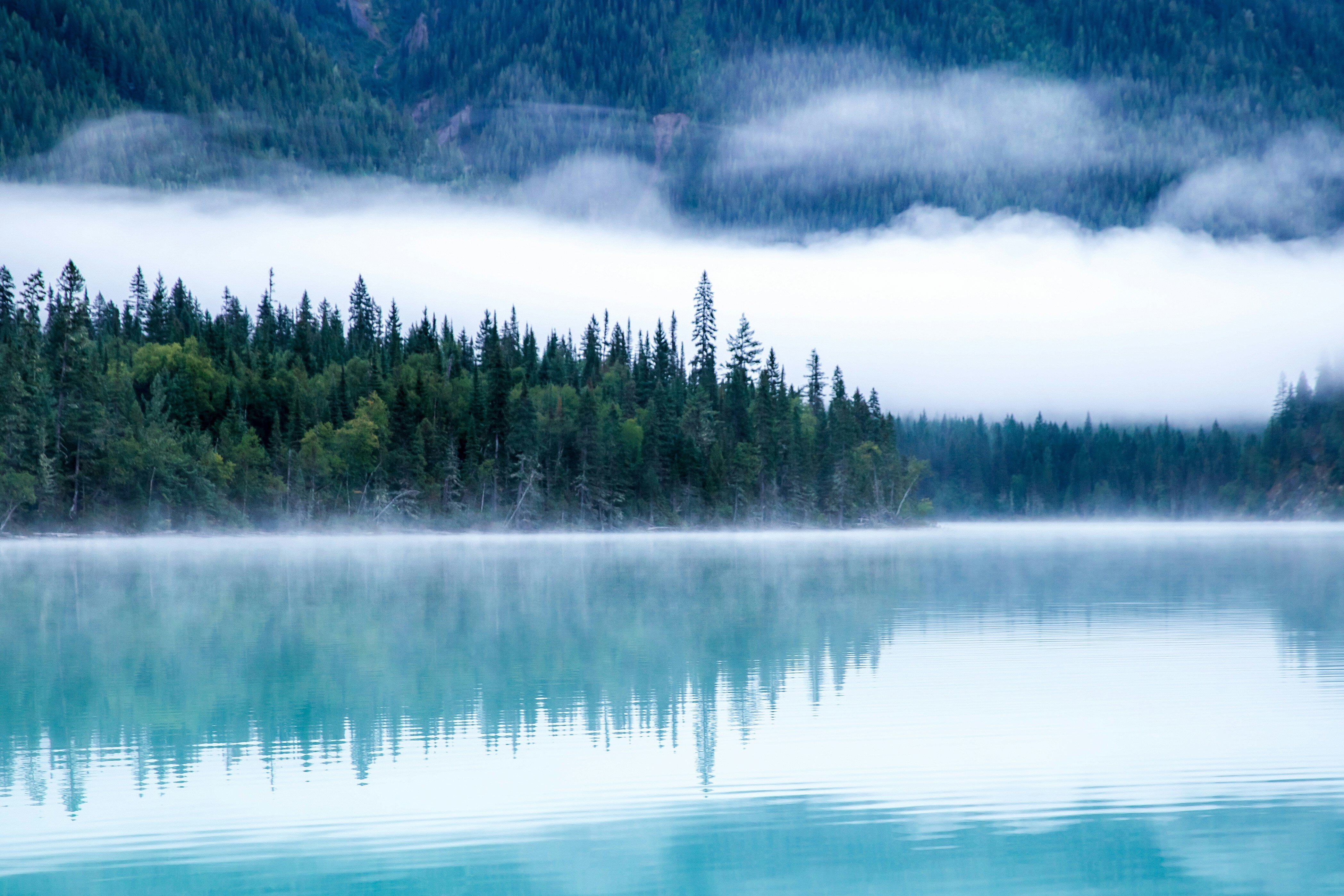Image showing trees across a lake