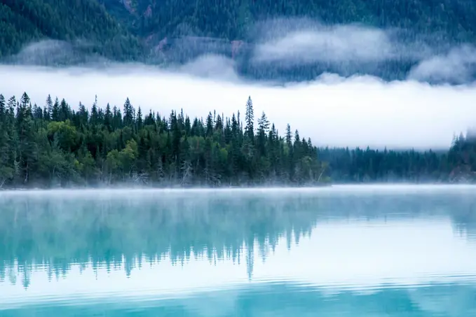 Image showing trees across a lake